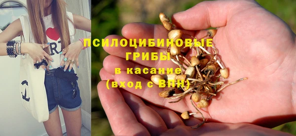 Альфа ПВП Дмитров